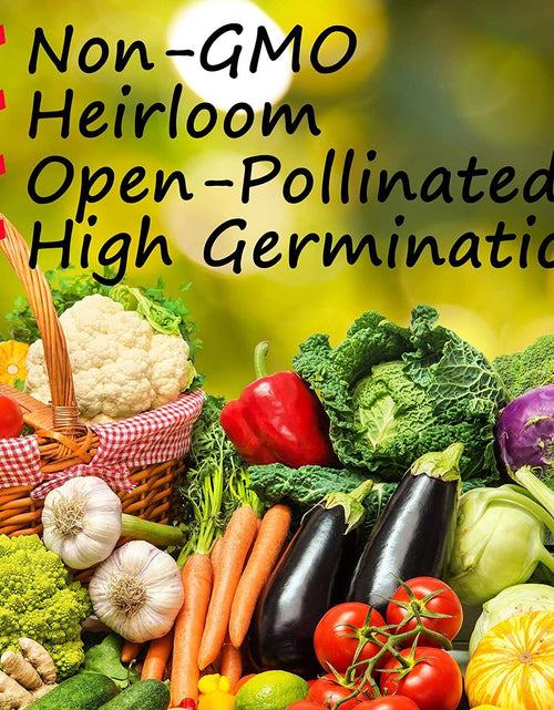 Load image into Gallery viewer, California Giant Zinnia Flower Seeds | Non-Gmo | Fresh Annual Flower Seeds
