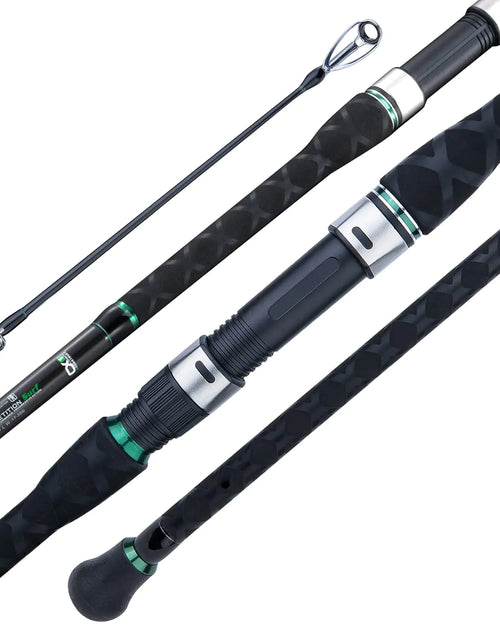 Load image into Gallery viewer, BERRYPRO Surf Spinning Rod IM8 Carbon Surf Fishing Rod (9/10/106/11/12/133) (10-Casting-2pc)
