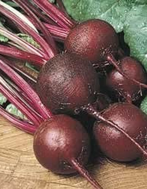 Load image into Gallery viewer, Beet Ruby Queen Great Heirloom Vegetable Seeds by  500 Seeds
