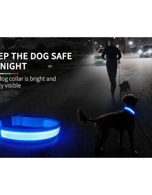 Load image into Gallery viewer, MASBRILL Dog Collar Luminous Pet Supplies Dog Collar Waterpoof Safety Collars
