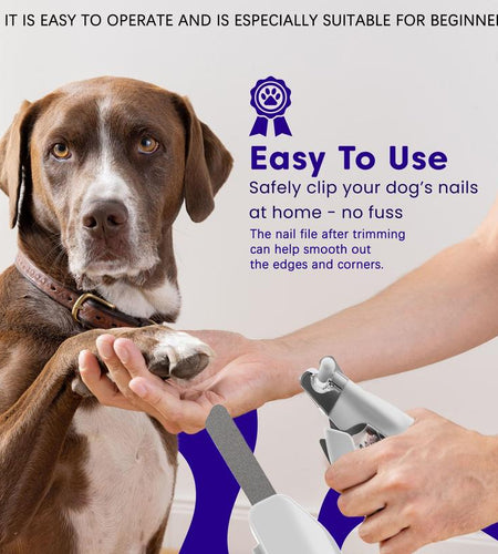 Pet Supplies Cat and Dog Nail Clippers Nail Polishers LED Lights Scissors Cleaning Supplies