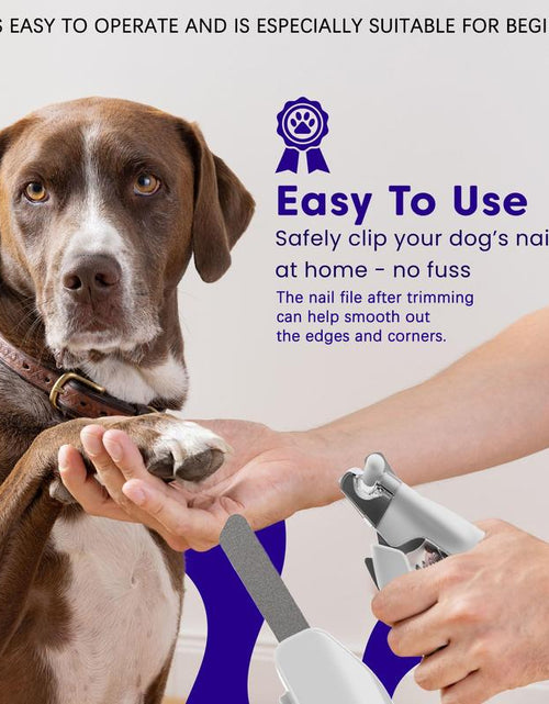 Load image into Gallery viewer, Pet Supplies Cat and Dog Nail Clippers Nail Polishers LED Lights Scissors Cleaning Supplies
