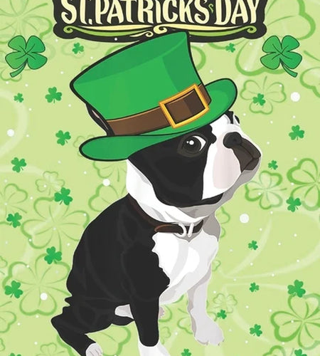 St Patricks Day Coloring Book for Adult : Irish Leprechaun Hat Boston Terrier an Adult Coloring Books St Patrick for Kids, Adults with Beautiful Irish Shamrock, Leprechaun and Other Saint Patrick'S Day Stuff - St Patricks Day Book (St. Patricks Day Gifts) (Paperback)