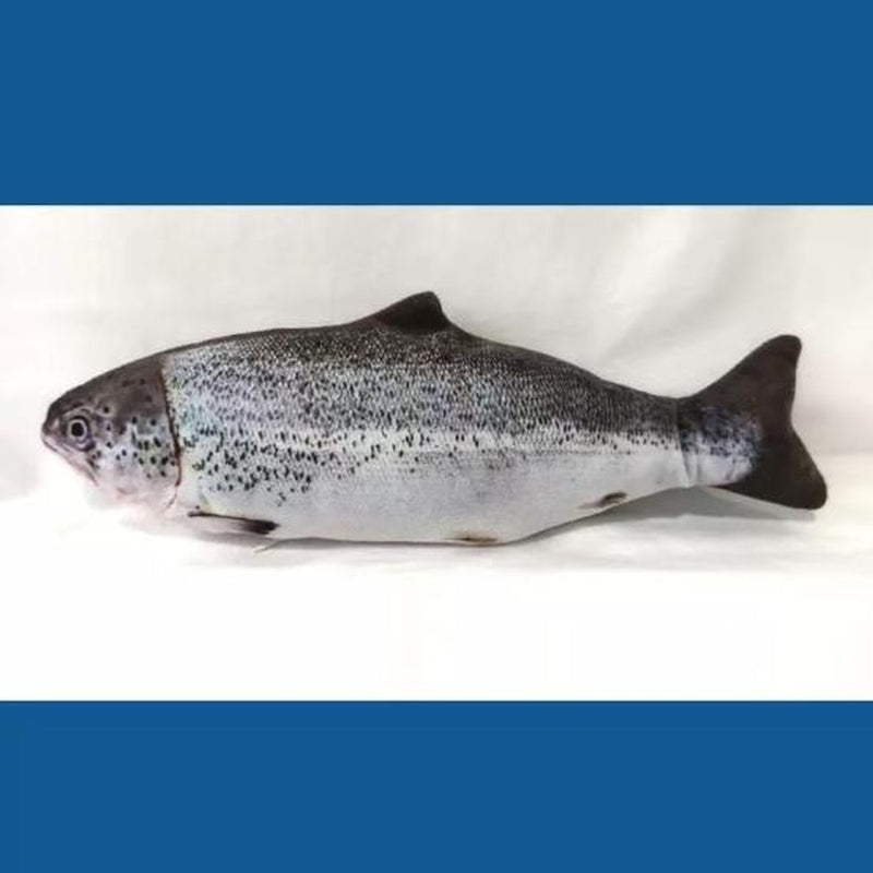 Cat Toys Catnip Automatic Flip Fish Dolls, Cat Toys, Applicable to All Kinds of Cats, USB Electric Mobile Pet Toys, Electric Puppet Fish, Suitable for Cats