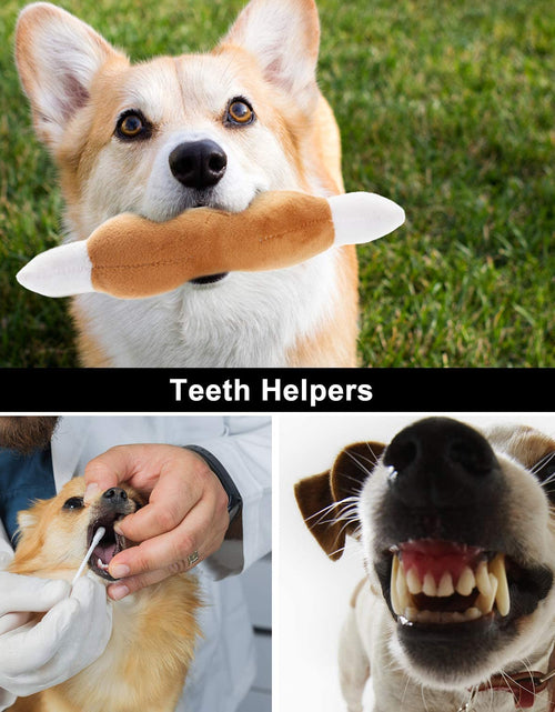 Load image into Gallery viewer, Dog Squeaky Toys, Plush Small Dog Toys for Dogs, Stuffed with Squeakers,12 Pcs Puppy Toys with a Carrying Bag for Small Medium Size
