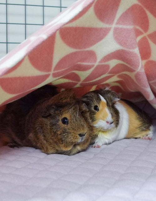 Load image into Gallery viewer, Premium Guineadad Fleece Liner – the Best Bedding for Guinea Pigs! Pet Supplies

