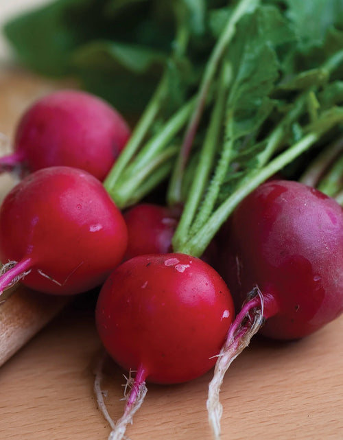 Load image into Gallery viewer, Organics Cherry Belle Radish Seeds - Non-Gmo, Heirloom Organic Vegetable Gardening Seeds, 4.6G, 1-Pack
