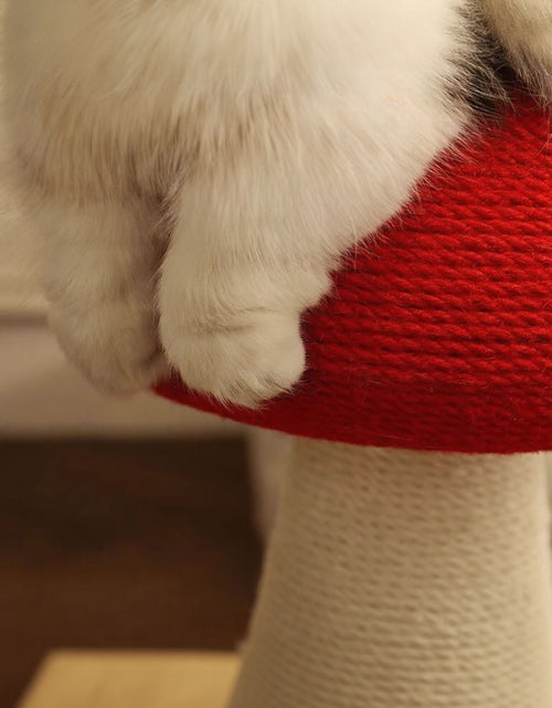 Load image into Gallery viewer, 9292548e-501b-41bb-9b57-970b05d39eb0-Max
