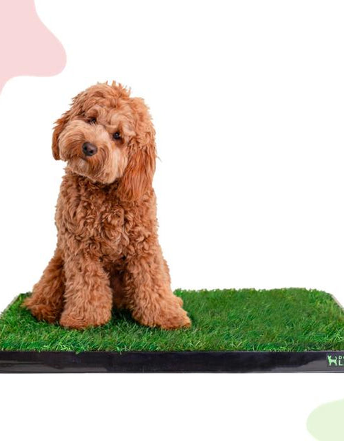 Load image into Gallery viewer, Doggielawn Real Grass Potty Pad, Odor Neutralizing, Sustainable and Affordable - Pet Supplies
