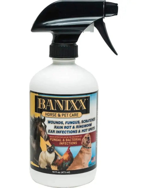 Load image into Gallery viewer, Horse Pet Care for Bacterial and Fungal Infections Spray 16 Oz.
