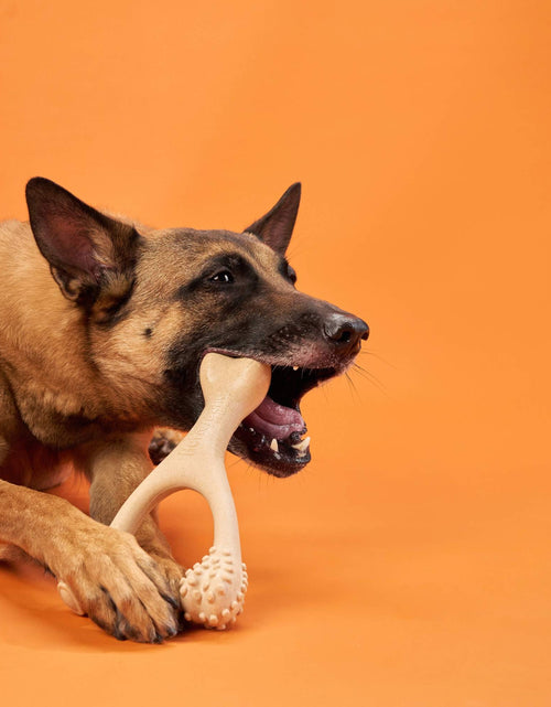 Load image into Gallery viewer, BetterBone HARD DURABLE CHEW TOY: Naturally Derived Ingredients, eco-friendly, and for the toughest chewers!
