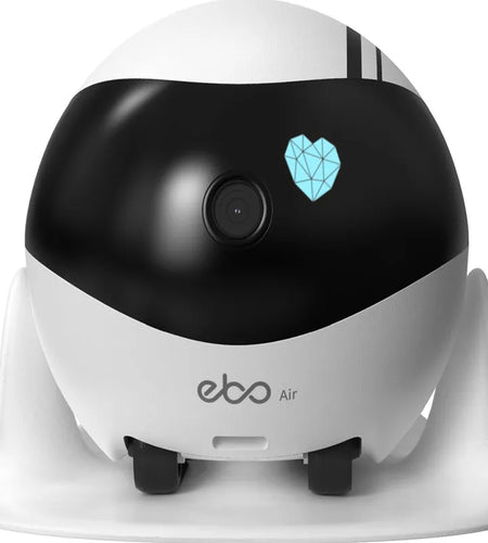 Smart Home Companion Robot Remote