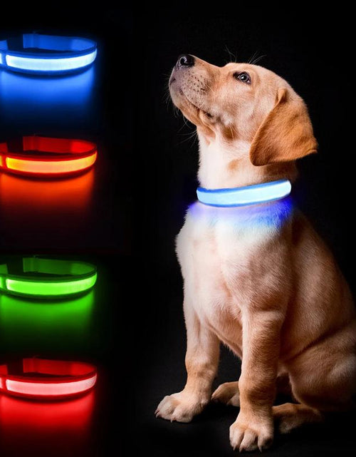 Load image into Gallery viewer, MASBRILL Dog Collar Luminous Pet Supplies Dog Collar Waterpoof Safety Collars

