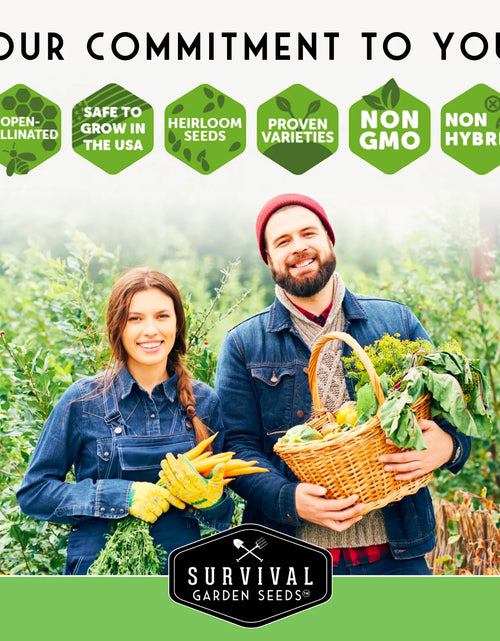 Load image into Gallery viewer, 30 Home Garden Seed Collection - Variety Pack with Full Sun Annual Heirloom Non-Gmo Vegetables
