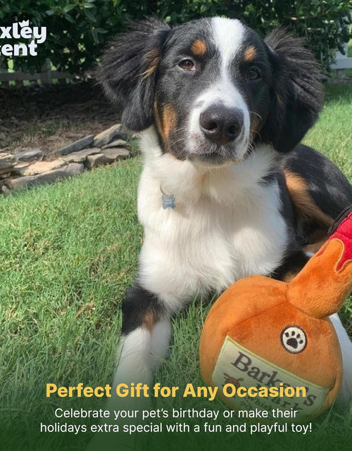 Load image into Gallery viewer, Funny Dog Toy W/Squeaker – Power Plush Squeaky Dog Toys for Small, Medium &amp; Large Dogs – Soft Stuffed Animal for Indoor Play &amp; Fetch - Barker'S Mark, Large
