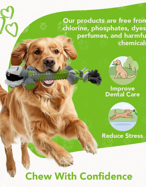 Load image into Gallery viewer, Rethink Pet Playpal 3 in 1 Pet Toy - Koala Rope, Dental Toy and Squeaky Plush Long Lasting Dog Toy
