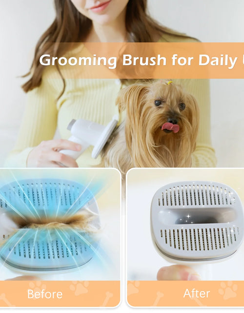 Load image into Gallery viewer, Dog &amp; Cat Grooming Clippers Kit, Adjustable Corded Electric with Accessories (9 Pack)
