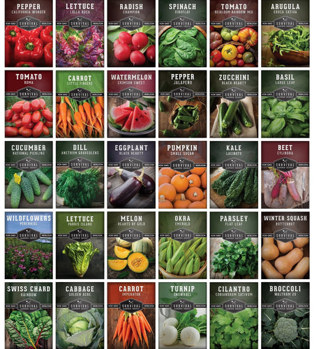 30 Home Garden Seed Collection - Variety Pack with Full Sun Annual Heirloom Non-Gmo Vegetables