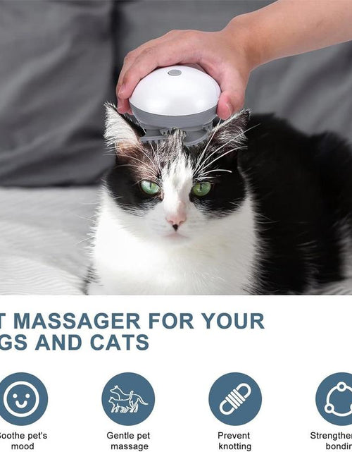 Load image into Gallery viewer, Portable Handheld Pet Massager, 1 Count Pet Muscle Relief Massager for Dogs and Cats, Pet Supplies
