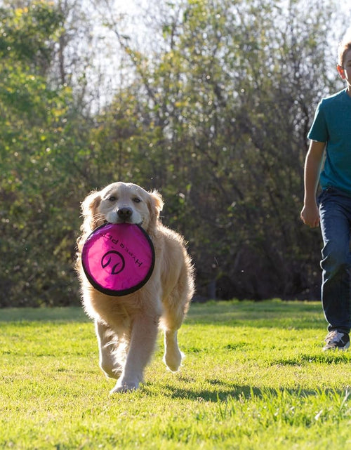 Load image into Gallery viewer, Flippy Flopper 9" Flying Disc Soft Dog Toy, Floats in Water &amp; Safe on Teeth, for All Breeds, Pack of 5 (Colors May Vary)
