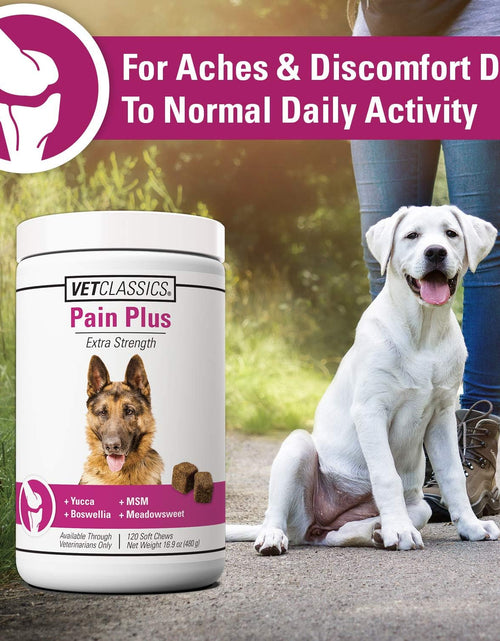Load image into Gallery viewer, Pain plus Extra Strength Health Supplement for Dogs - 120 Soft Chews
