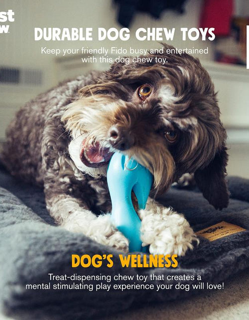 Load image into Gallery viewer, WEST PAW Design, Toy Dog Qwizl Aqua Small
