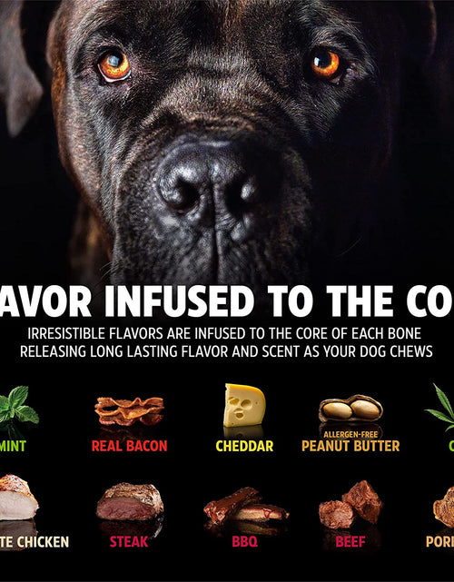 Load image into Gallery viewer, Dinosaur Barkbone - Nylon Dog Bone for Aggressive Chewers - Bacon Flavor - 8.5"
