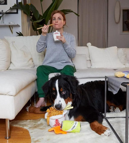 Squeaky Dog Toys - Plush and Squeak Chew Toys | Puppy and Pet Toys for Medium to Large Dogs | Chow Chow Mein (Large)