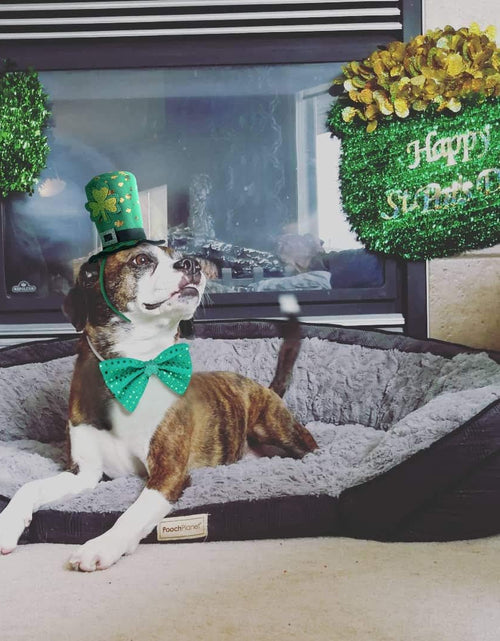 Load image into Gallery viewer, St Patricks Day Dog Costume - St. Patty&#39;S Day Doggie Headband and Green Bow Tie Kit
