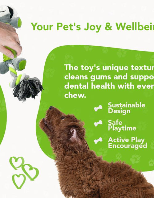 Load image into Gallery viewer, Rethink Pet Playpal 3 in 1 Pet Toy - Koala Rope, Dental Toy and Squeaky Plush Long Lasting Dog Toy
