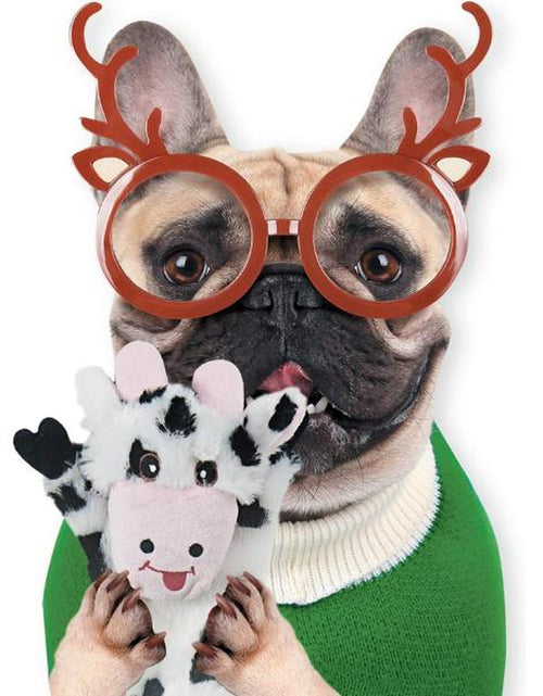 Load image into Gallery viewer, Dog Squeaky Toys 5 Pack, Pet Toys Crinkle Dog Toy No Stuffing Animals Dog Plush Chew for Large Dogs and Medium Dogs Squeeky
