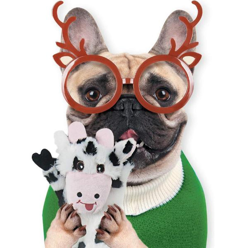 Dog Squeaky Toys 5 Pack, Pet Toys Crinkle Dog Toy No Stuffing Animals Dog Plush Chew for Large Dogs and Medium Dogs Squeeky