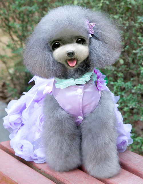 Load image into Gallery viewer, Pet Small Dog Puppy Cat Clothes Coat Wedding Costume Satin Rose Formal Dress Tutu Purple Violet L
