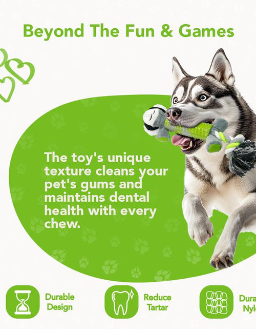 Load image into Gallery viewer, Rethink Pet Playpal 3 in 1 Pet Toy - Koala Rope, Dental Toy and Squeaky Plush Long Lasting Dog Toy
