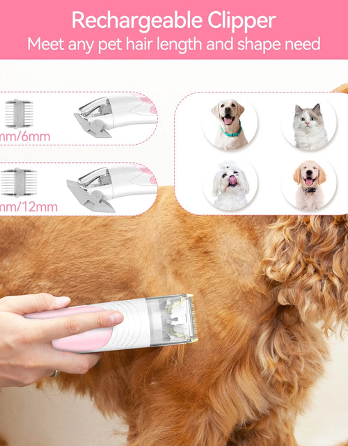 Load image into Gallery viewer, Grooming Vaccum, 4.5L Large Capacity Pet Grooming Kit &amp; 5-In-1 Ultra-Low Noise Pet Grooming Vacu for Dog, Cat
