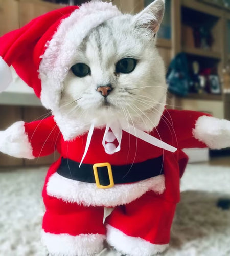 Winter Christmas Pet Cat Costumes Funny Santa Claus Clothes for Small Cats Dogs Xmas New Year Cat Clothing Kitty Kitten Outfits
