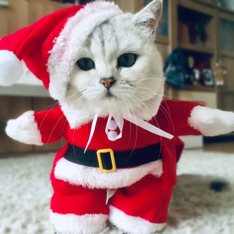 Winter Christmas Pet Cat Costumes Funny Santa Claus Clothes for Small Cats Dogs Xmas New Year Cat Clothing Kitty Kitten Outfits