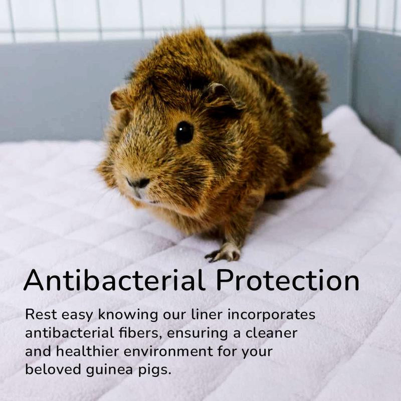 Premium Guineadad Fleece Liner – the Best Bedding for Guinea Pigs! Pet Supplies