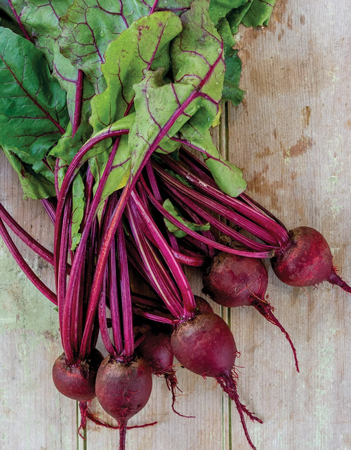 Load image into Gallery viewer, Medium Top Detroit Dark Red Beet Seeds - Non-Gmo, Easy to Grow, Vegetable Gardening Seeds, 5.5G, 1-Pack
