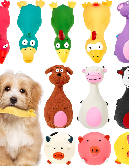 Load image into Gallery viewer, Jenaai 11 Pcs Dog Squeaky Toys Squeaky Latex Dog Toys Soft Chew Rubber Dog Toy Rubber Chew Toys for Dogs Assorted Animal Pet Toys Puppy Fetch Pet Interactive Play for Small and Medium Pets
