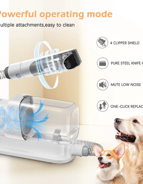 Load image into Gallery viewer, Dog &amp; Cat Grooming Clippers Kit, Adjustable Corded Electric with Accessories (9 Pack)

