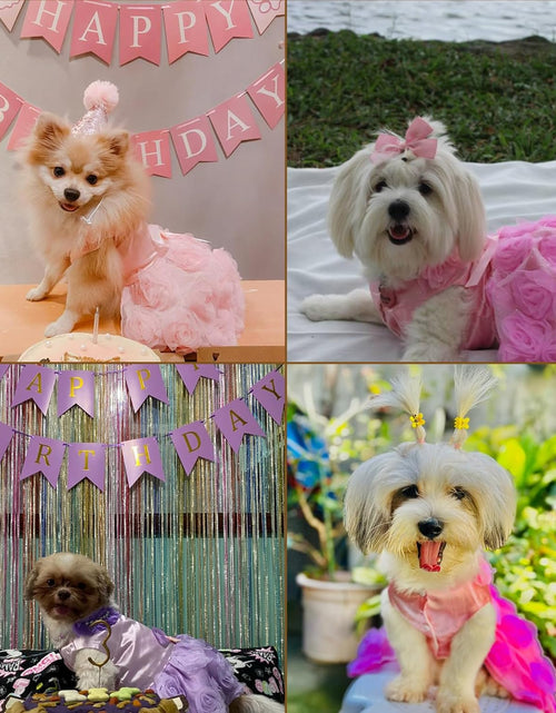 Load image into Gallery viewer, Pet Small Dog Puppy Cat Clothes Coat Wedding Costume Satin Rose Formal Dress Tutu Purple Violet L
