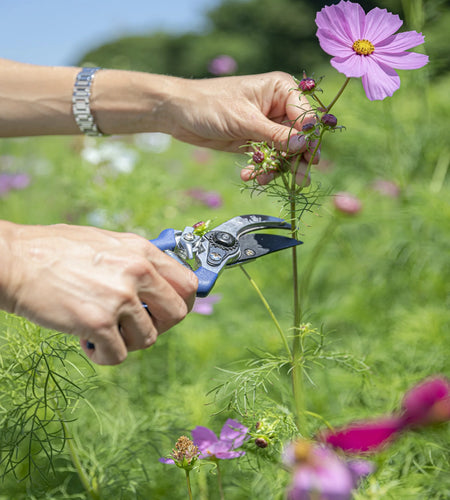 6 Piece Stainless Steel Heavy Duty Garden Tools Set, with Ash Wood Handle and Non-Slip Rubber Grip Pruner, Premium Canvas and Leather Storage Tote Bag, Outdoor Hand Tools, Garden Gift