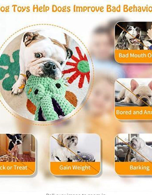 Load image into Gallery viewer, Dog Toys Squeaky
