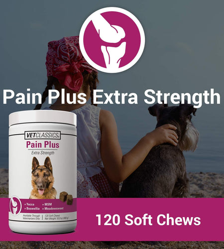 Pain plus Extra Strength Health Supplement for Dogs - 120 Soft Chews
