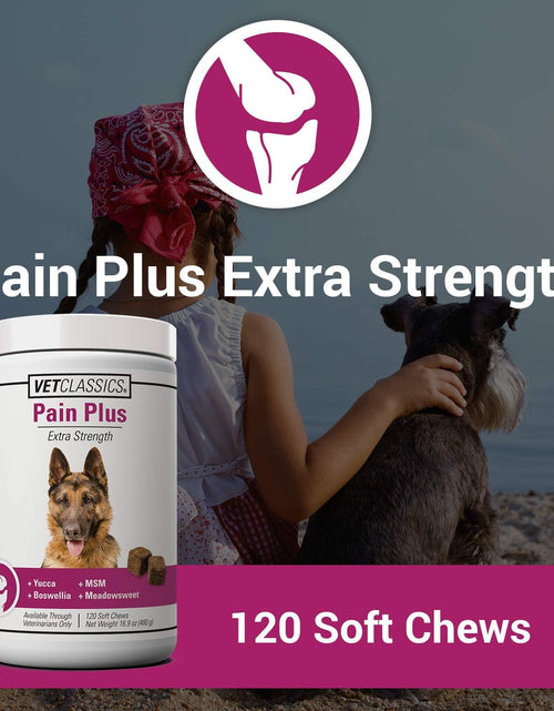 Load image into Gallery viewer, Pain plus Extra Strength Health Supplement for Dogs - 120 Soft Chews
