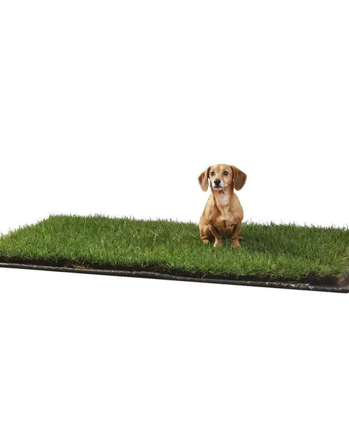 Load image into Gallery viewer, Doggielawn Real Grass Potty Pad, Odor Neutralizing, Sustainable and Affordable - Pet Supplies
