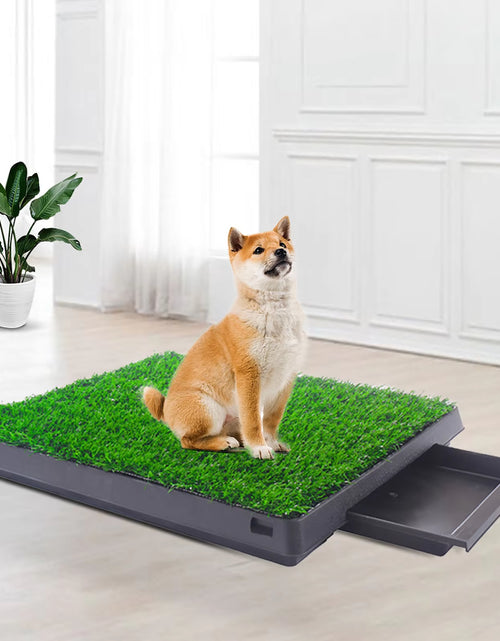 Load image into Gallery viewer, 2PCS Realistic Artificial Grass Rug for Pet Potty Training, Synthetic Dog Pee Grass Turf Patch Carpet Pad for Indoor Outdoor
