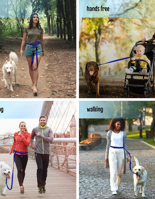 Load image into Gallery viewer, Hands Free Dog Leash, Adjustable Leash for Running, Jogging, Training and Service Dogs, Great for Small, Medium and Large Dogs, Made in USA (Royal Blue, Large Belt (27&quot;- 50&quot; Waist))
