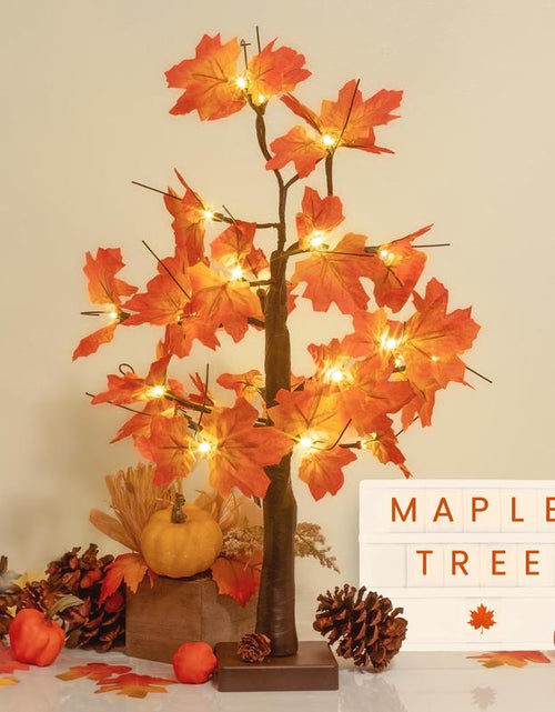 Load image into Gallery viewer, Alfanite 24-Inch Fall Lighted Maple Tree, 24 LED Lights, Usb+Battery Operated Thanksgiving Table Centerpieces Decoration Tree for Home Fireplace Autumn Harvest Tabletop Indoor Decor
